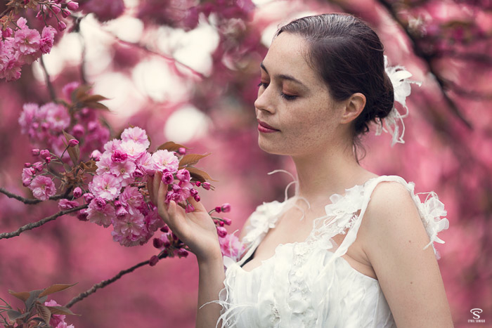 Pour votre mariage sur le thème fleur de cerisier, voici une photo d'inspiration.