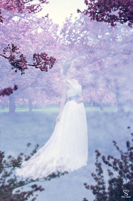 Découvrez une séance de portrait de mariée sur le thème d'inspiration mariage des fleurs de cerisiers japonais !