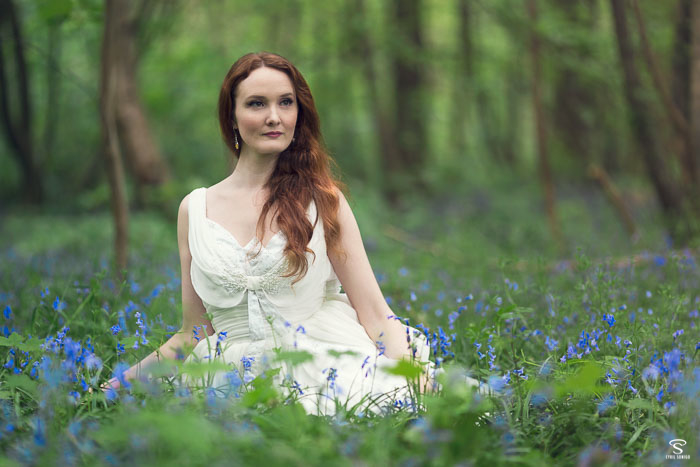Découvrez des fleurs bleues dans une forêt, la jacinthe des bois, dans des photographies.
